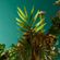 evasion-exotica-n4-victorio-e-lucchino-edt-150ml-4
