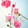 Flower-by-Kenzo-Poppy-Bouquet-edp-100ml-3